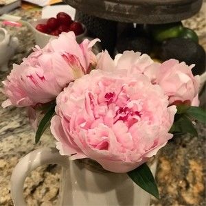 Meet your Posher, Whitelatch